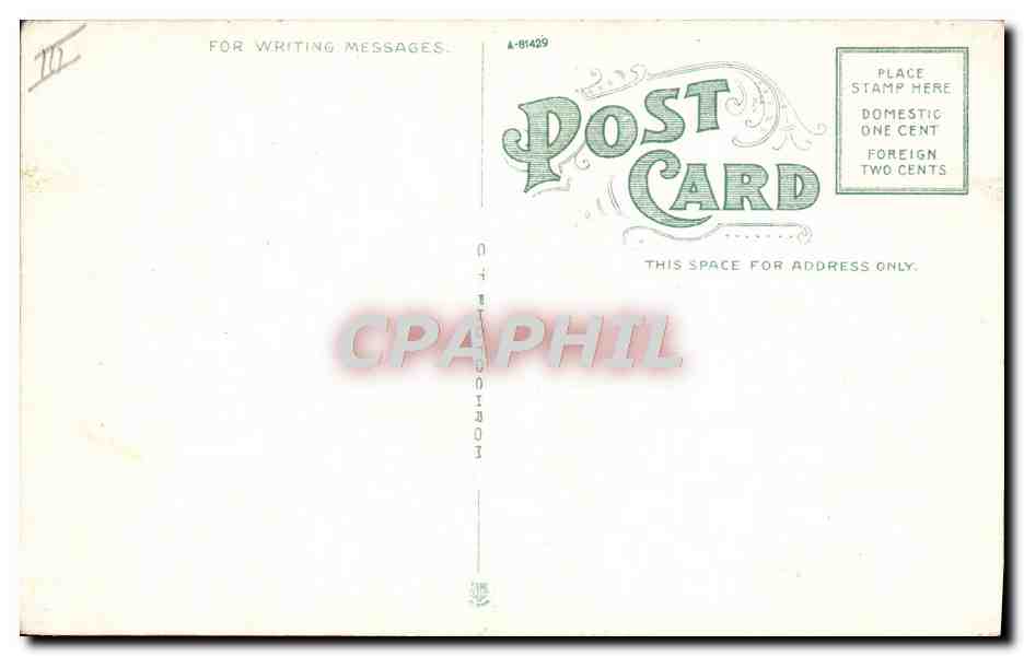 Un groupe d'autruches — Cawston Ostrich Farm, South Pasadena, Californie — éditeur A-81429 — Verso