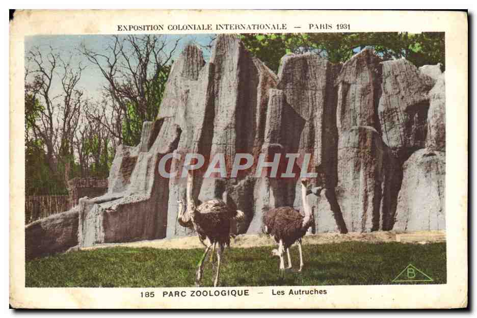 CPA Paris Exposition coloniale internationale Paris 1931 Parc zoologique Les autruches 