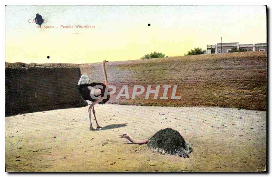Héliopolis - Famille d'Autrîchies — CAUE