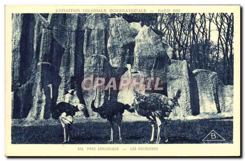 CPA Paris Exposition coloniale internationale Paris 1931 Parc zoologique Les autruches 