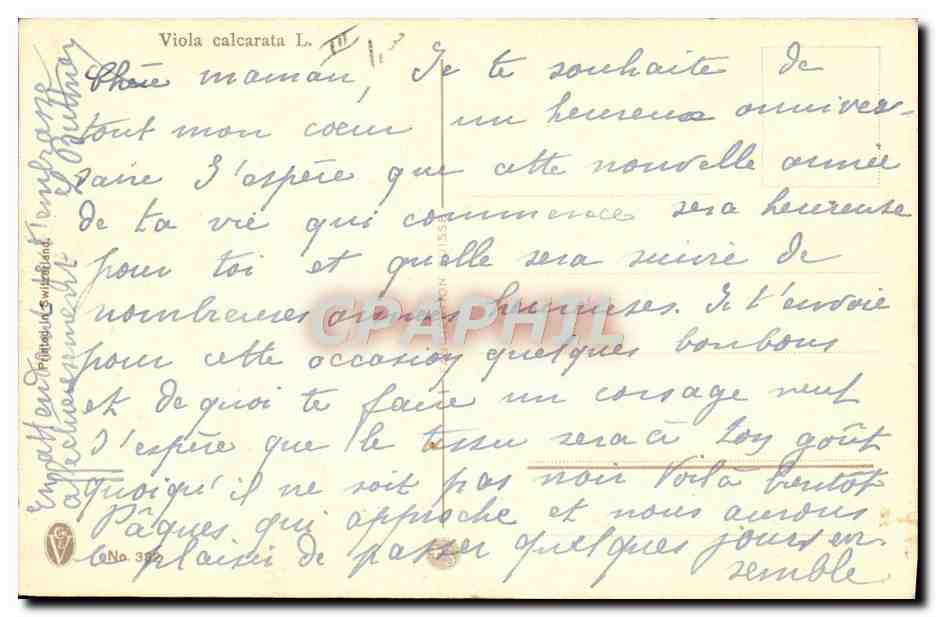 CPA Fantaisie Illustrateur Fleurs Viola Calcarata Haller — Verso