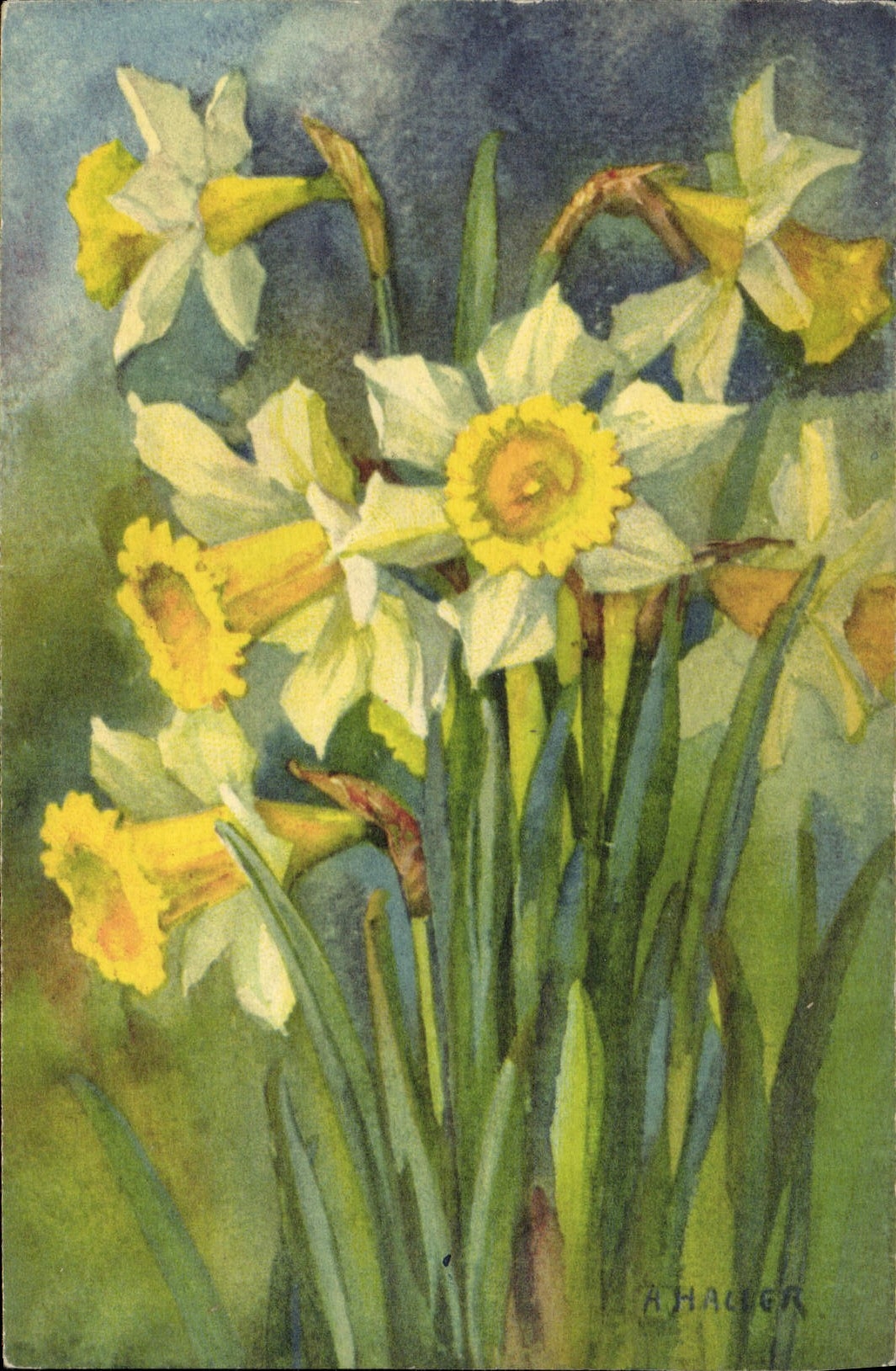 CPA Fantaisie Illustrateur Fleurs Hager 