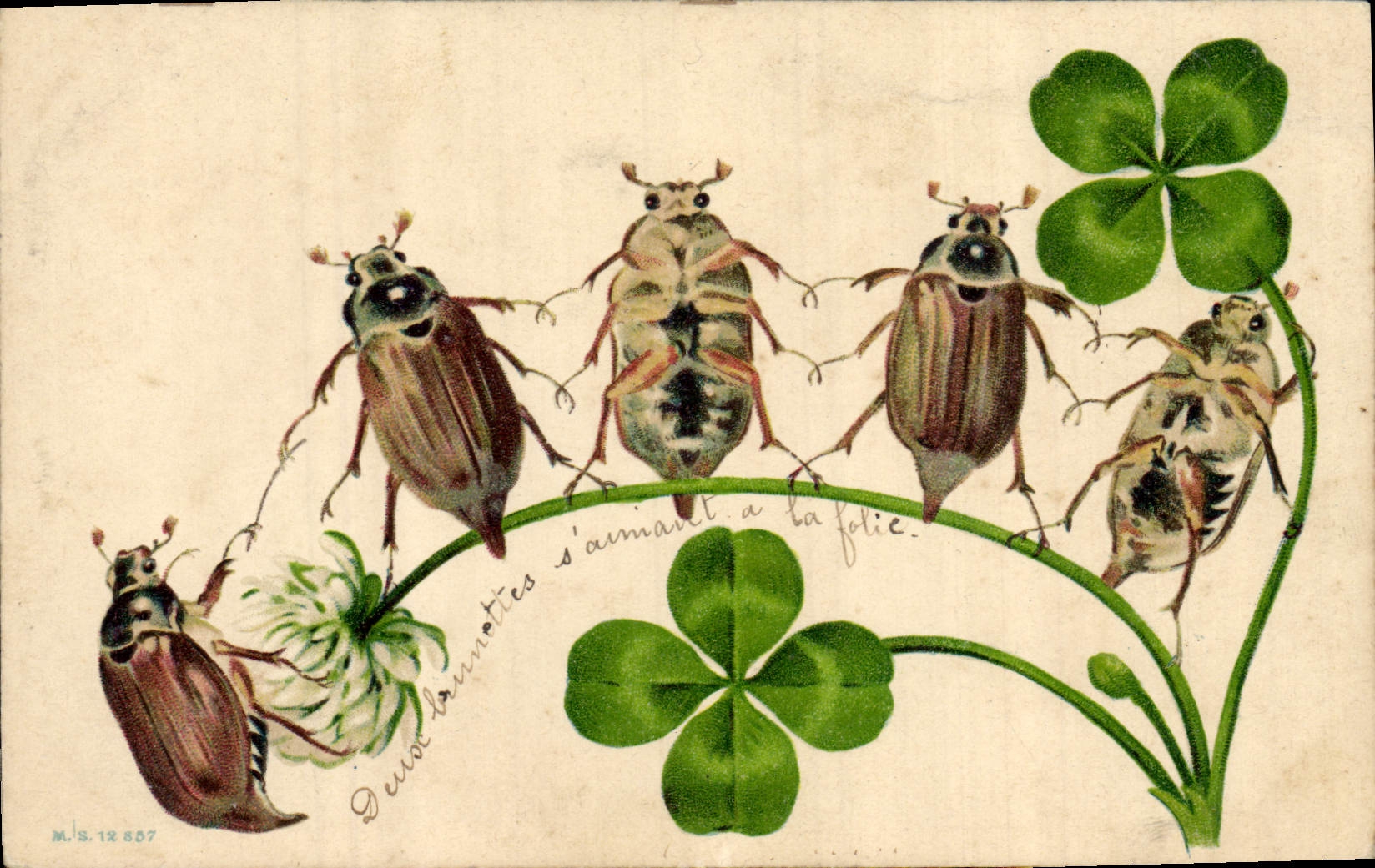 CPA Insectes