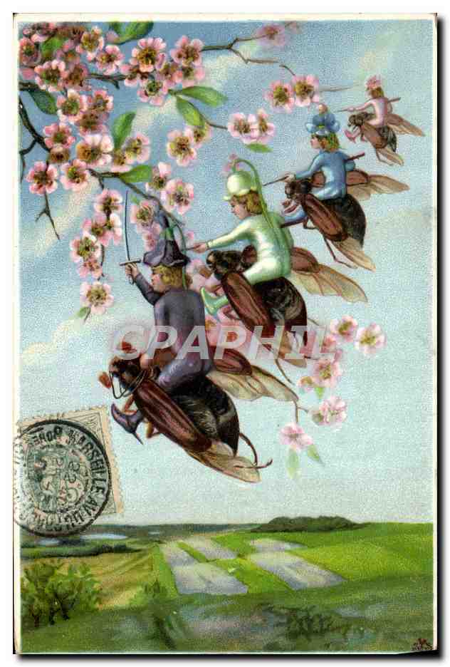 CPA Insectes 