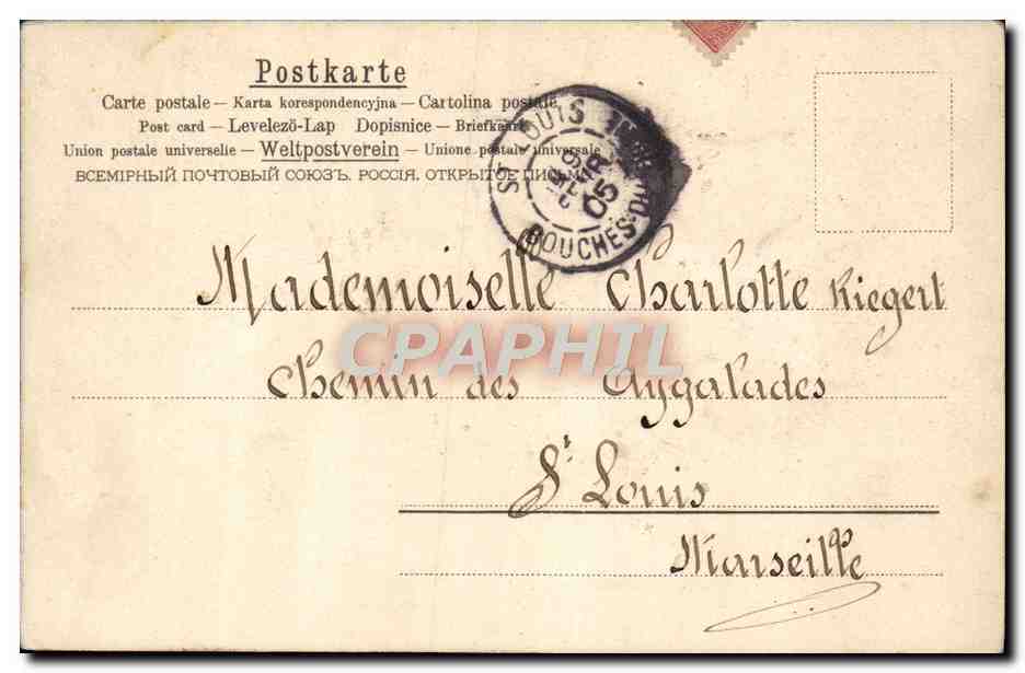 CPA Insectes  — Rückseite