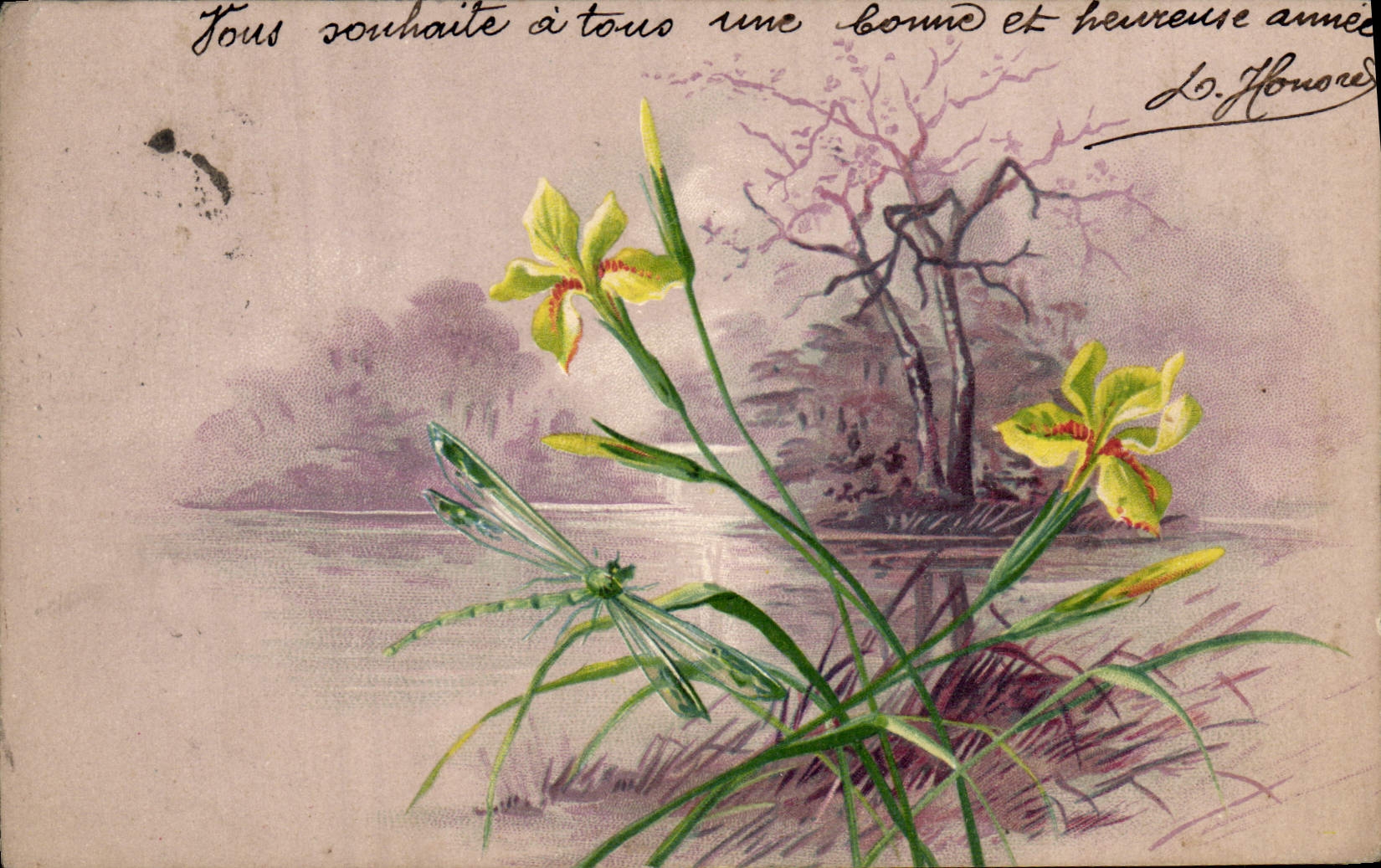 CPA Insecte Libellule