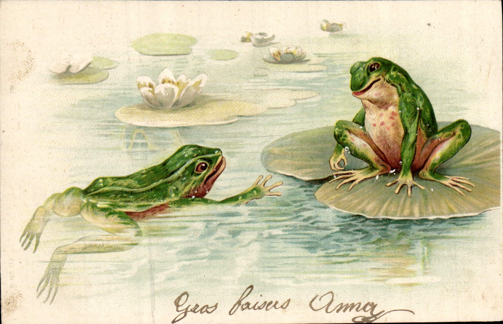 Deux grenouilles dans un étang — illustration — B. No 133