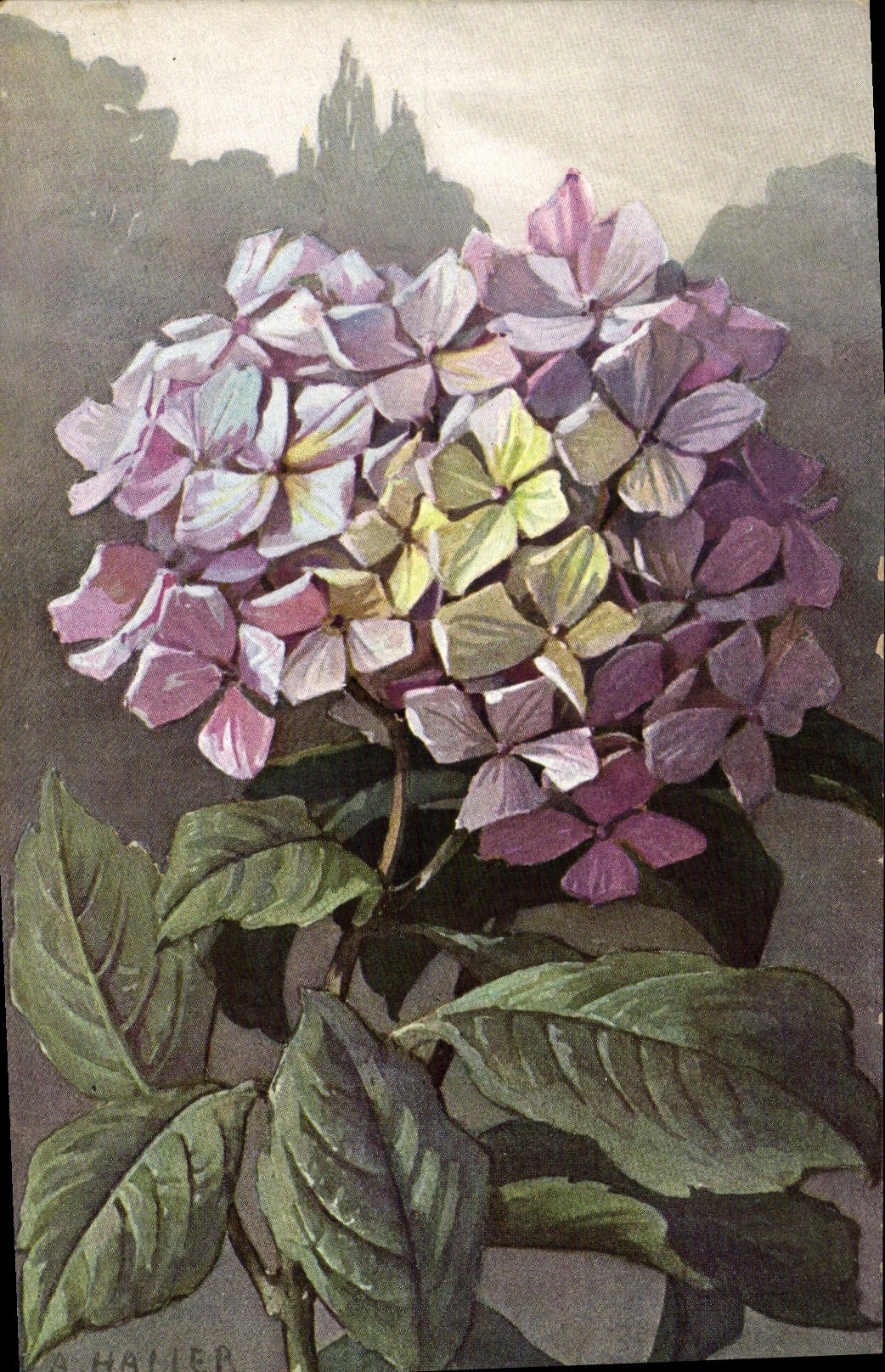 CPA Fantaisie Illustrateur Fleurs Haller