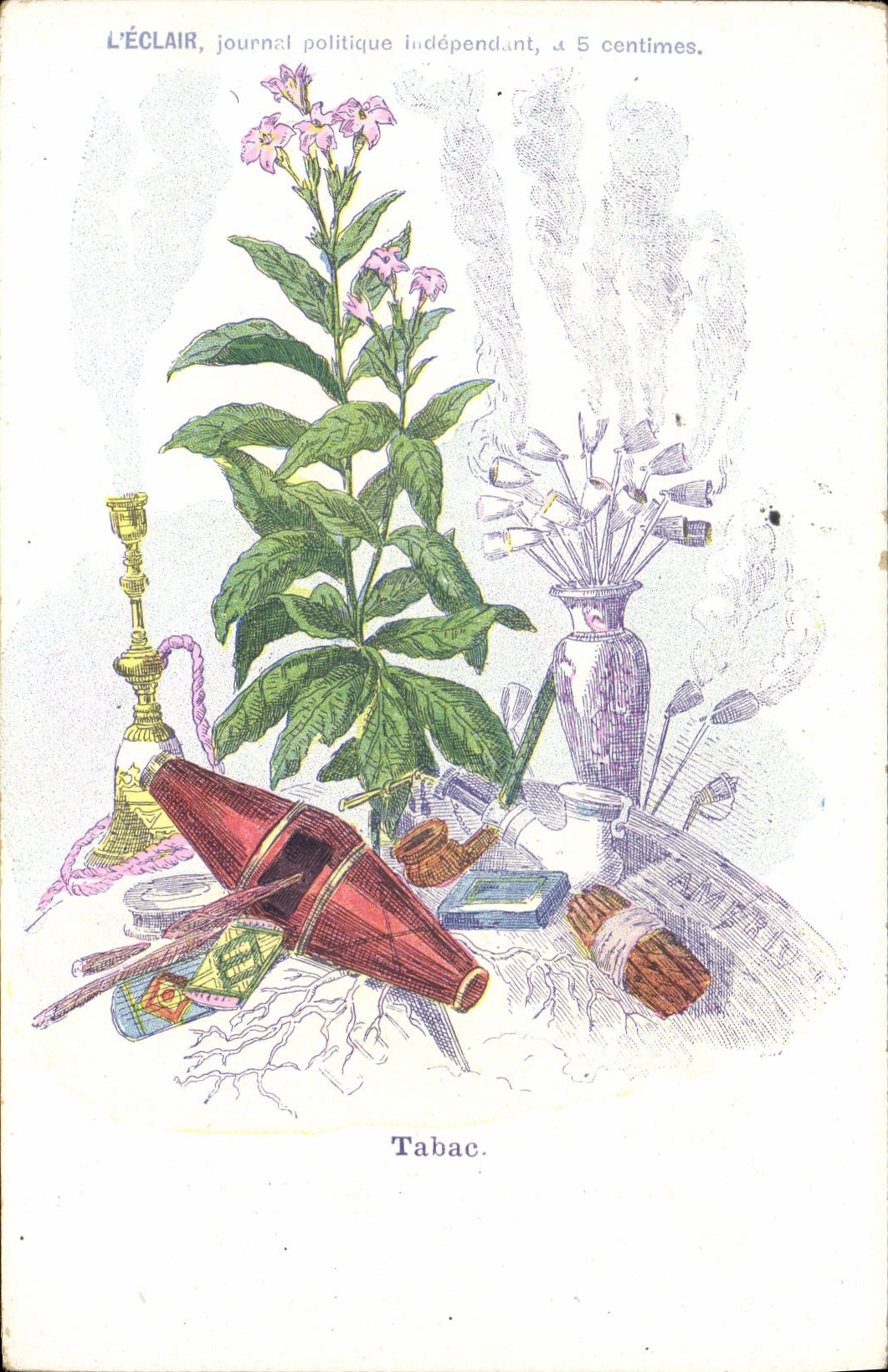 Tabac — illustration de plantes et accessoires — L'ÉCLAIR, journal politique indépendant, à 5 centimes