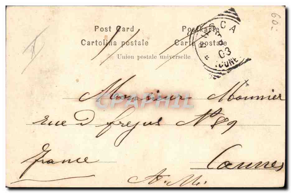 S.M. La Regina Margherita — portrait en buste — Alterrocca Terni (phot. Brogi) n°1468 — Reverso