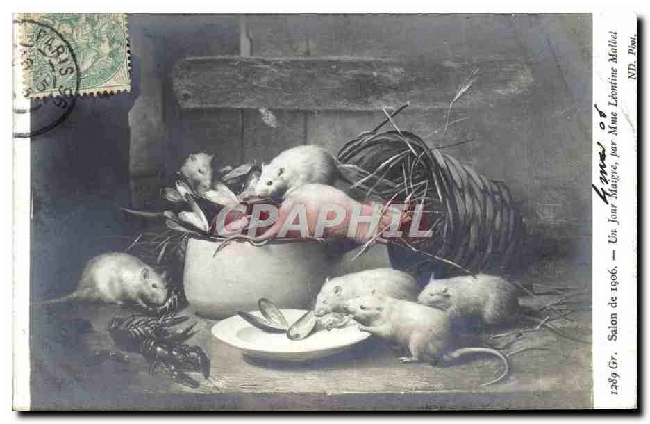 CPA Salon de 1906 Un jour maigre par Mme Leontine Malbet Souris blanches