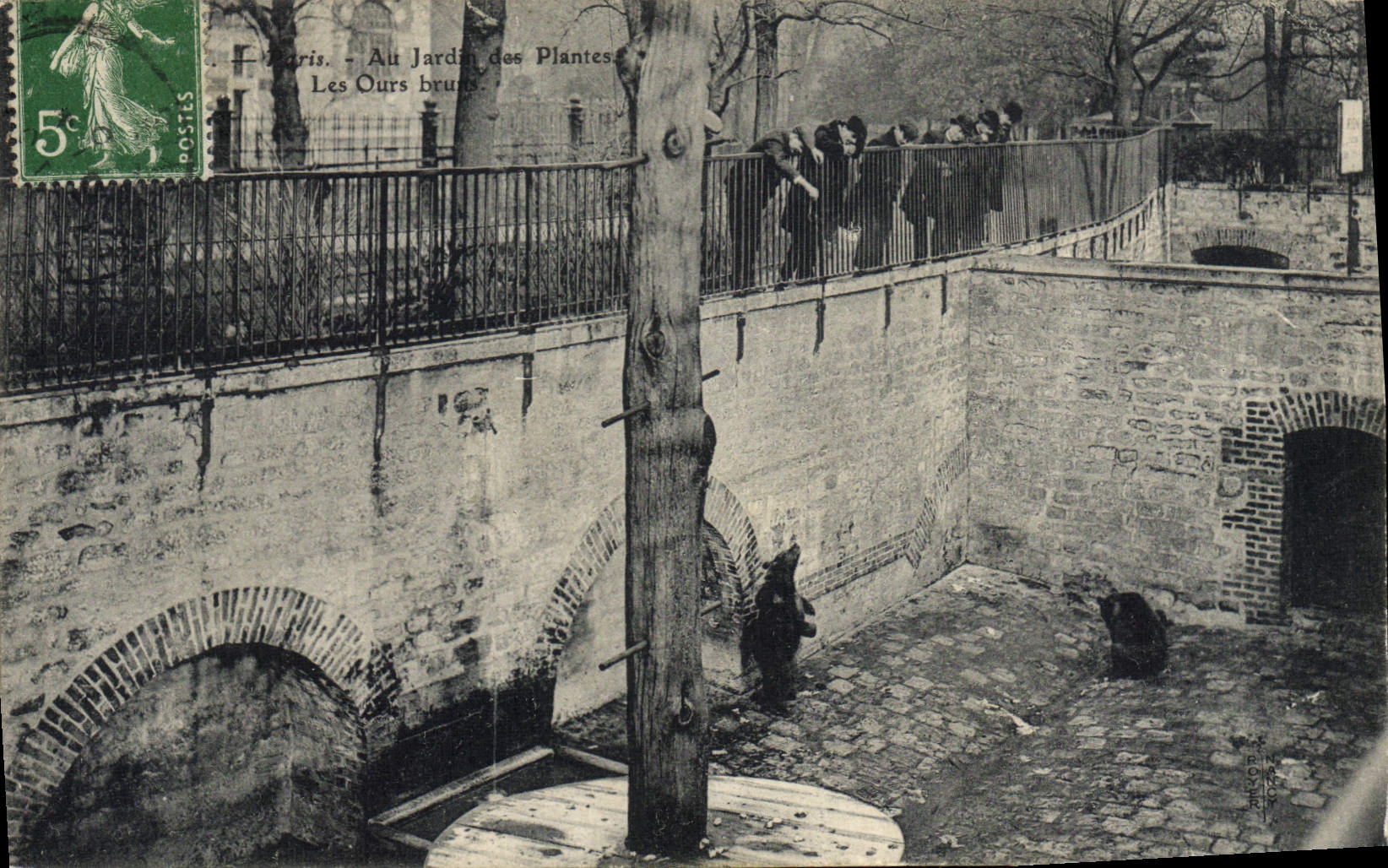 CPA Ours Paris Jardin des Plantes Les ours bruns