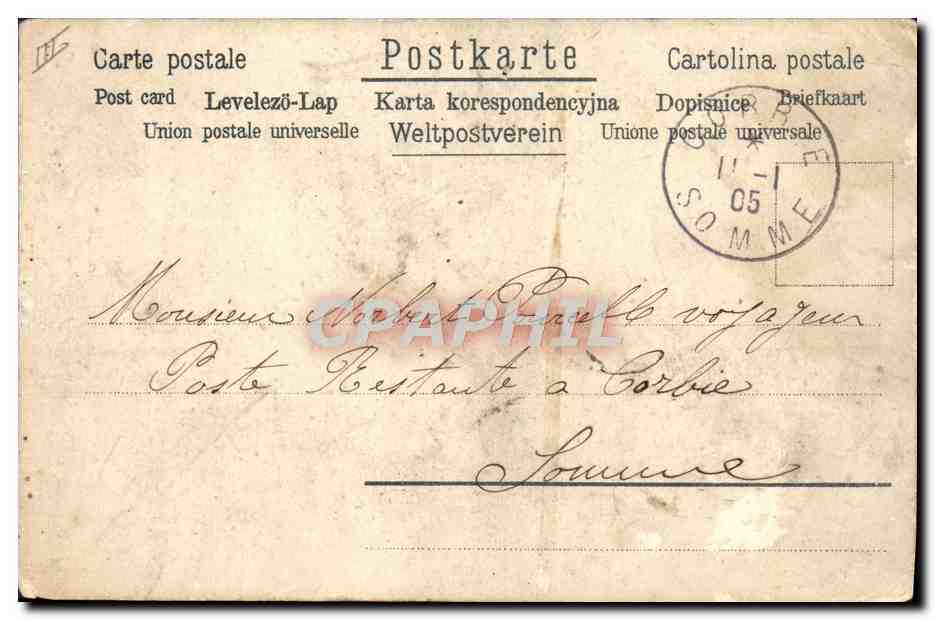 CPA Ours Blancs  — Rückseite