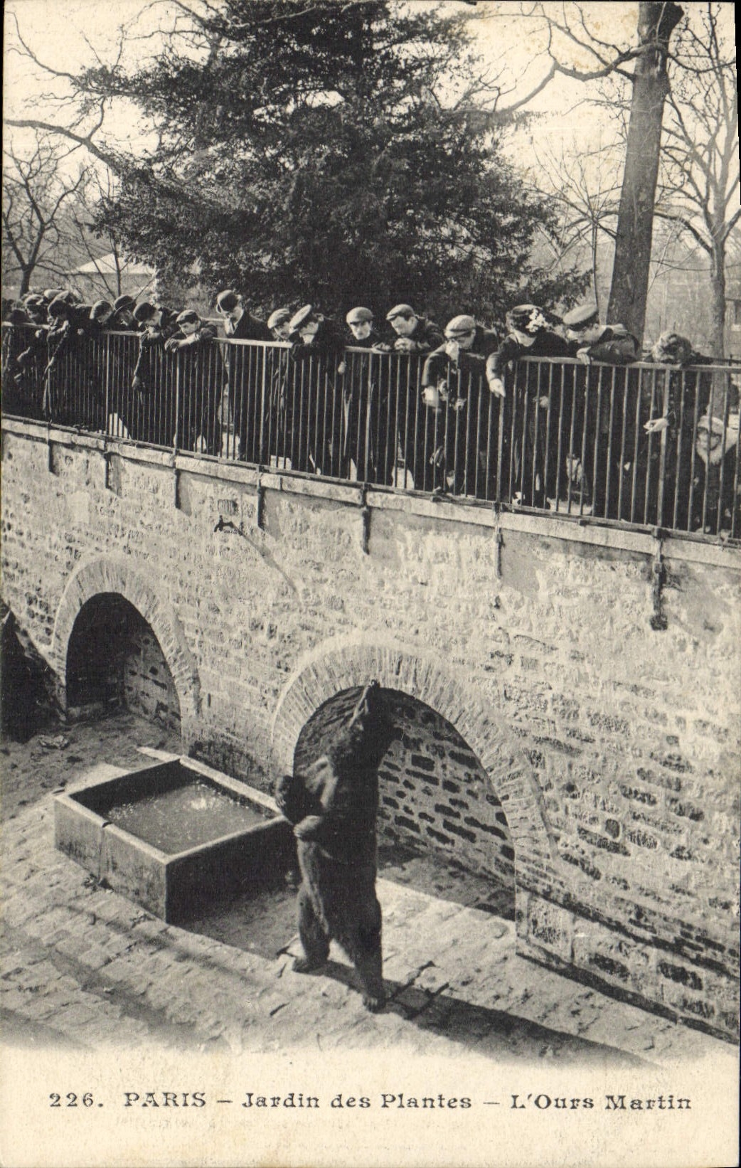 CPA Ours Paris Jardin des plantes L'ours Martin 