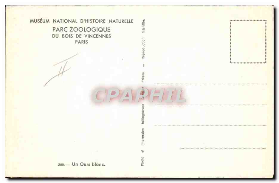 CPA Parc Zoologique du Bois de Vincennes Zoo Un ours blanc  — Rückseite