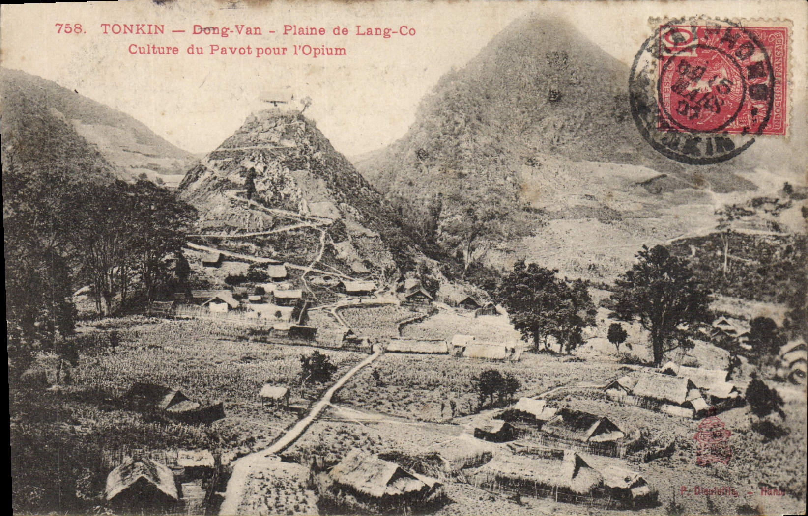CPA Tonkin Dong Van Plaine d elang Co Cutlure du pavot pour l'opium Drogue 