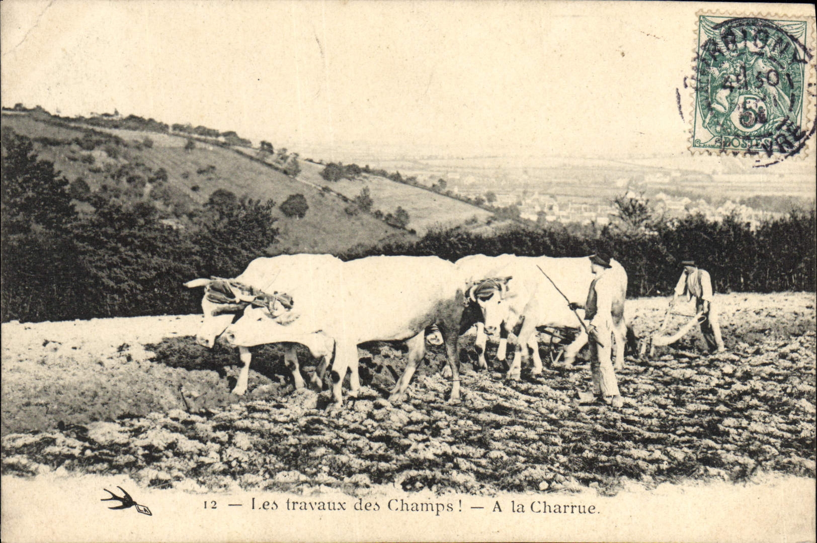 CPA Attelage Les travaux des champs A la charrue Boeufs