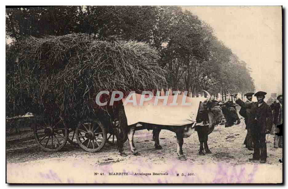 CPA Attelage Bearnais Biarritz