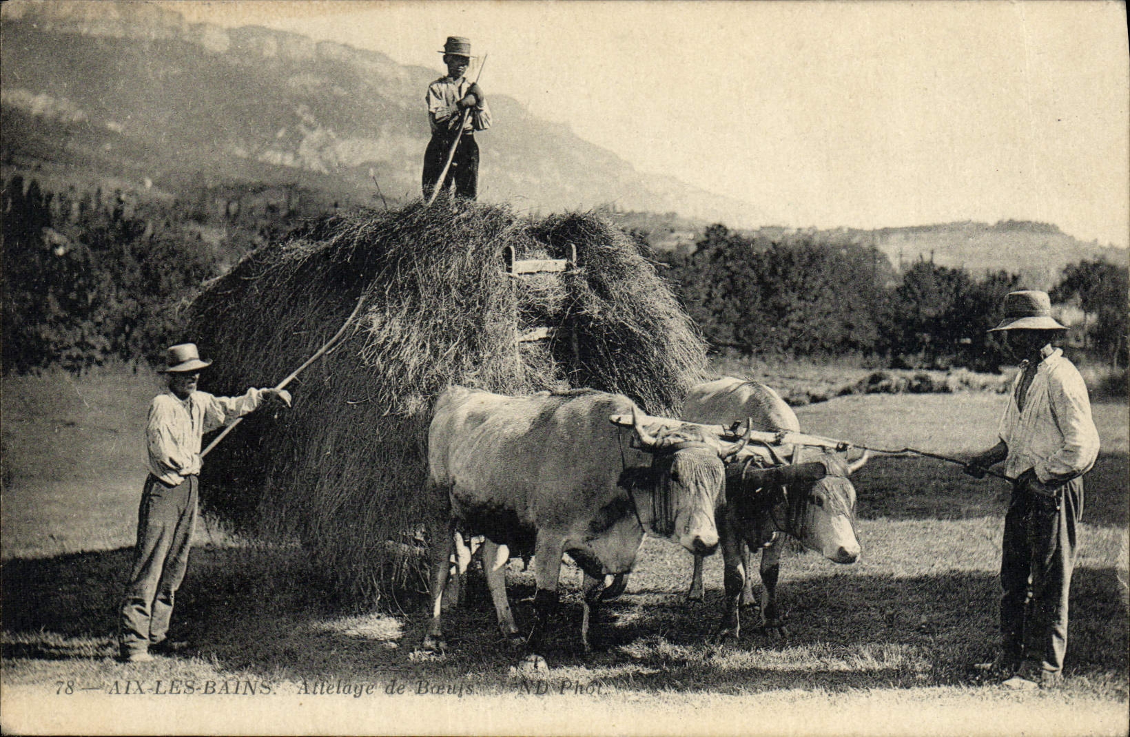 CPA Attelage de boeufs Aix les Bains 