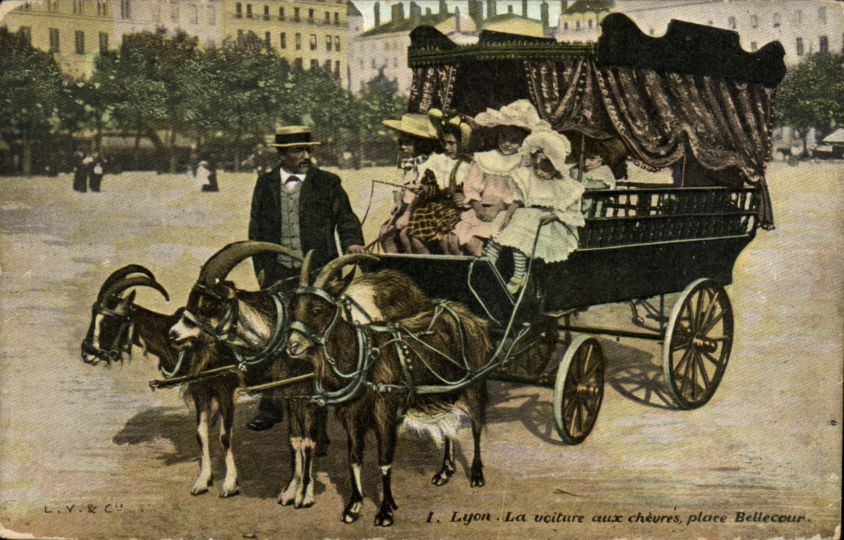 Lyon - La voiture aux chèvres, place Bellecour — L.V.&C. n°1