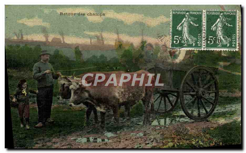 CPA Attelage Retour des champs Boeufs