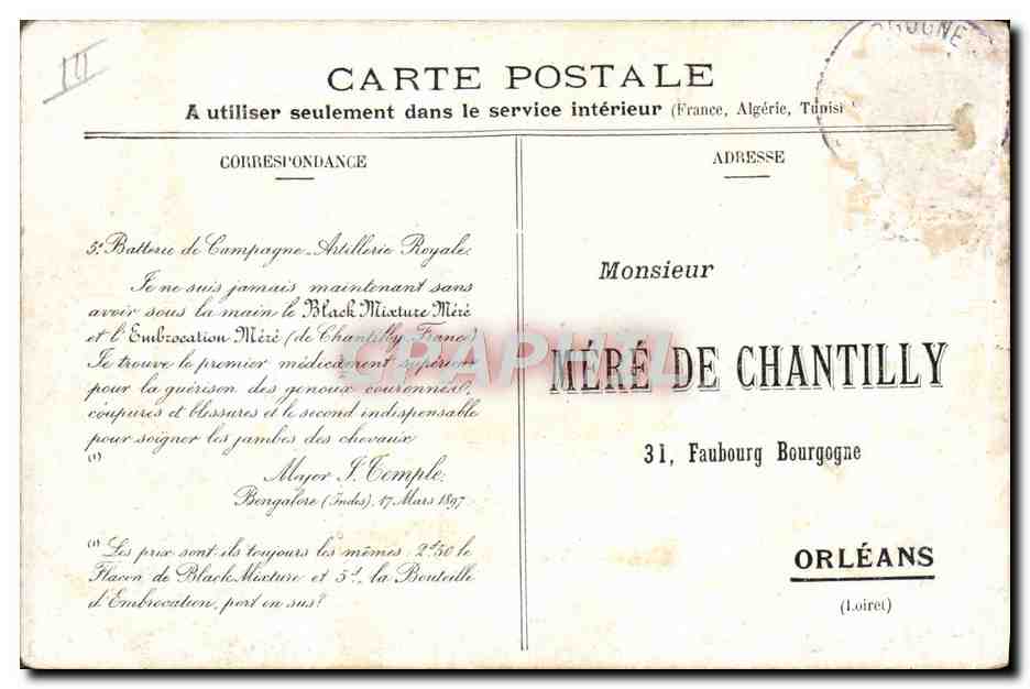 CPA Attelage En Auvergne Boeufs  — Rückseite