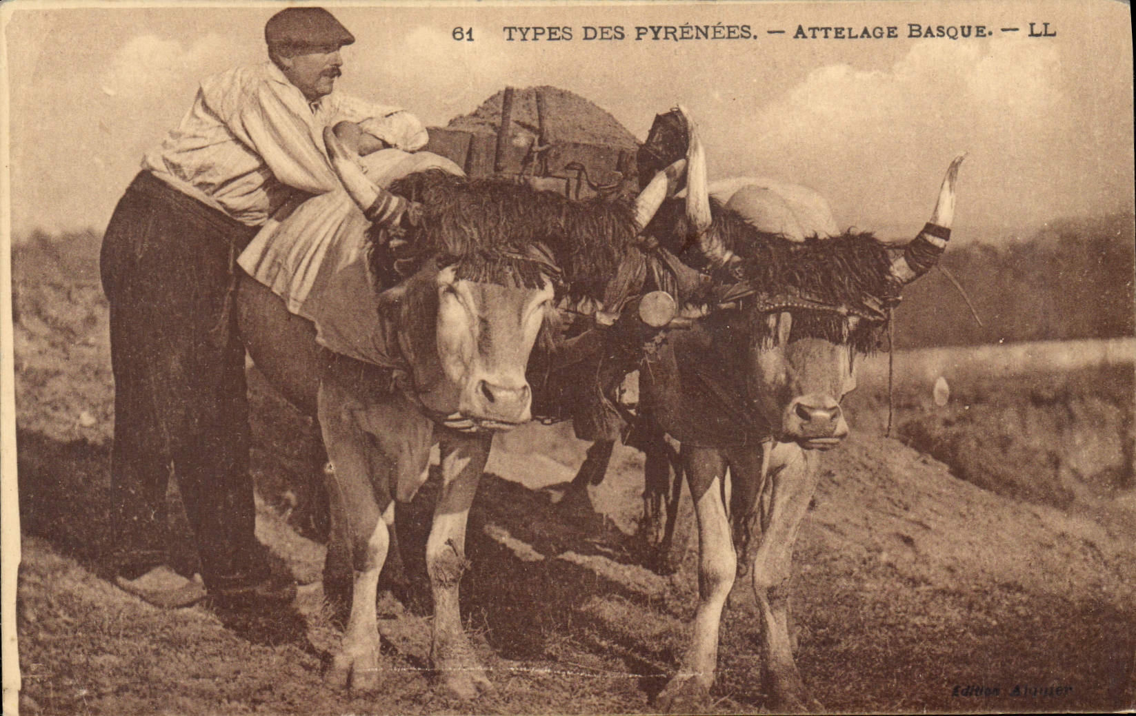 CPA Attelage basque Types des Pyrenees
