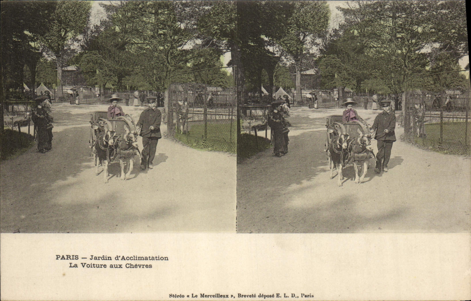 PARIS — Jardin d'Acclimatation — La Voiture aux Chèvres — Stéréo Le Merveilleux, Breveté déposé E. L. D., Paris