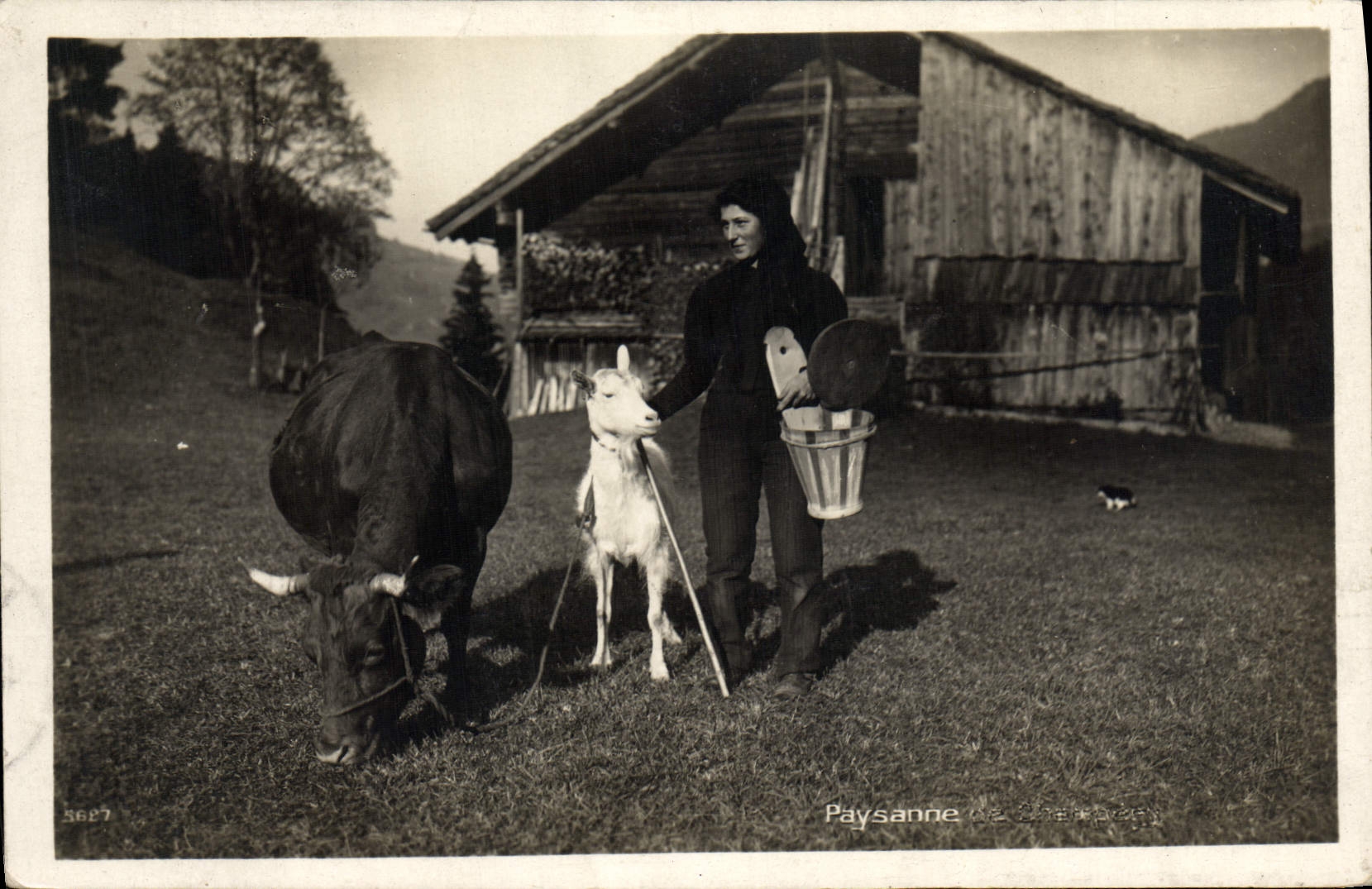 Paysanne avec vache et chèvre — Paysanne de Chézery — Édition Art. Ferro & Müller, Lausanne