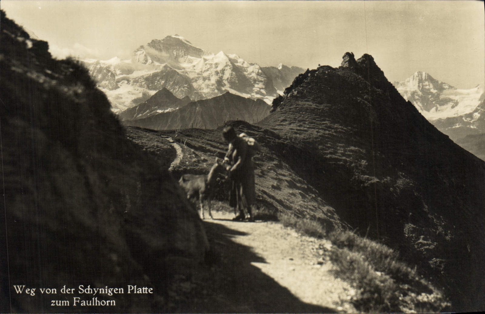 CPA Chevre Weg con der Schynigen Platte zum Faulhorn