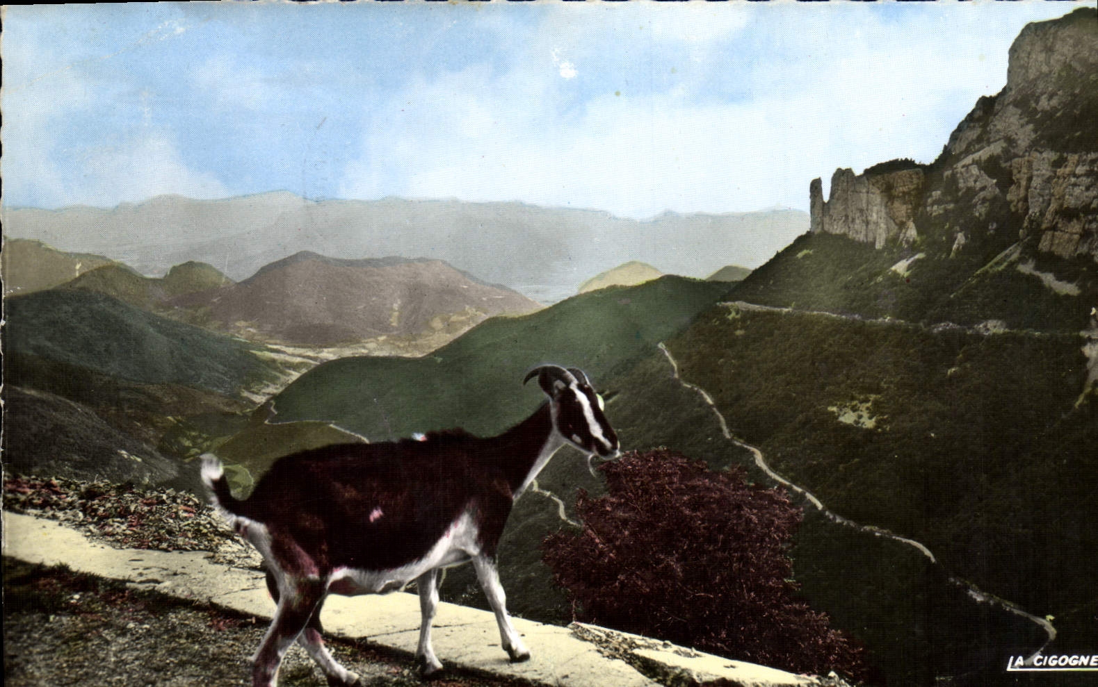 CPM Chevre Les lacets de la Route du Col du Rousset