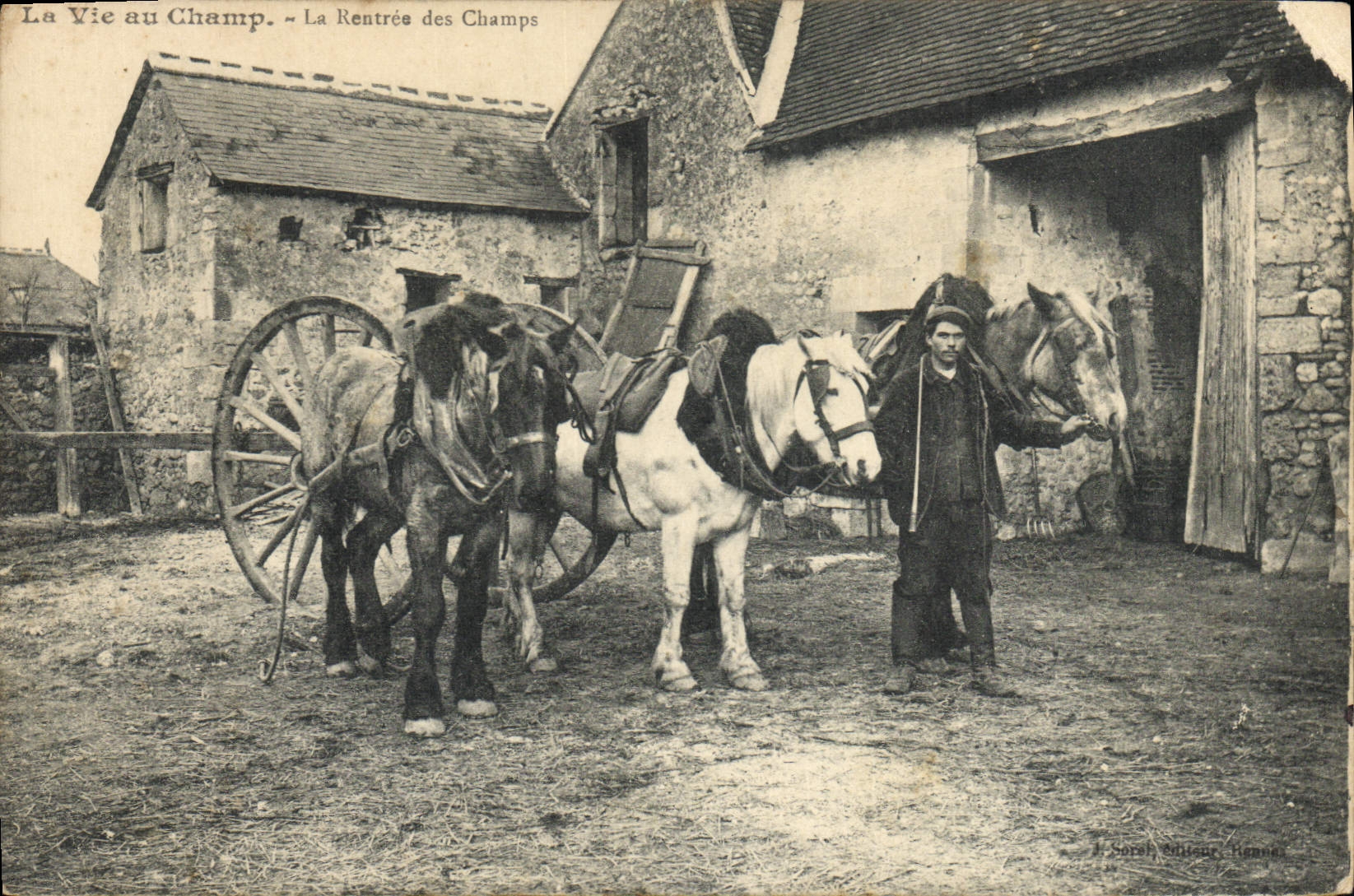CPA Folklore La rentree des champs Attelage Chevaux