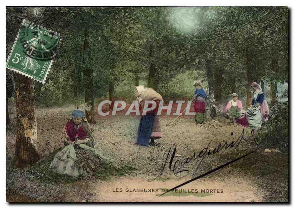 CPA Folklore Les glaneuses de feuilles mortes 