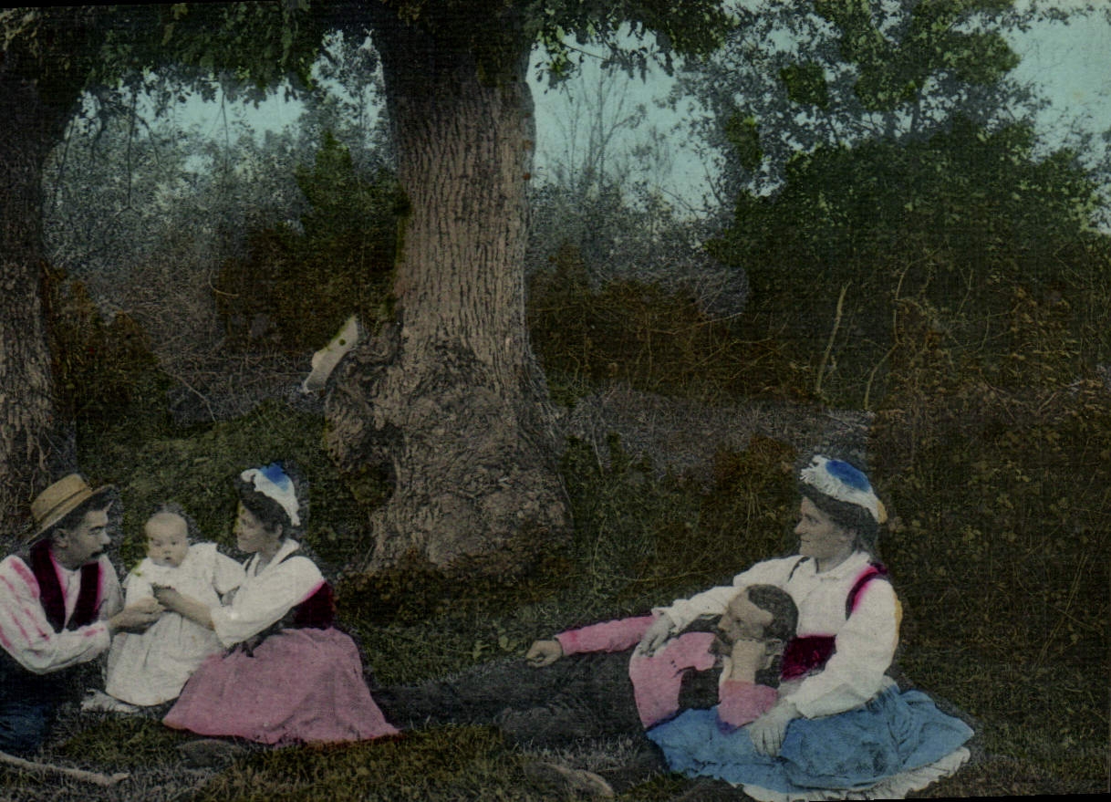 Famille en forêt — sous un grand arbre — carte postale anonyme