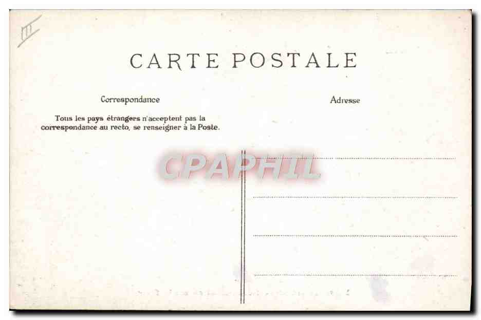 Famille en forêt — sous un grand arbre — carte postale anonyme — Verso