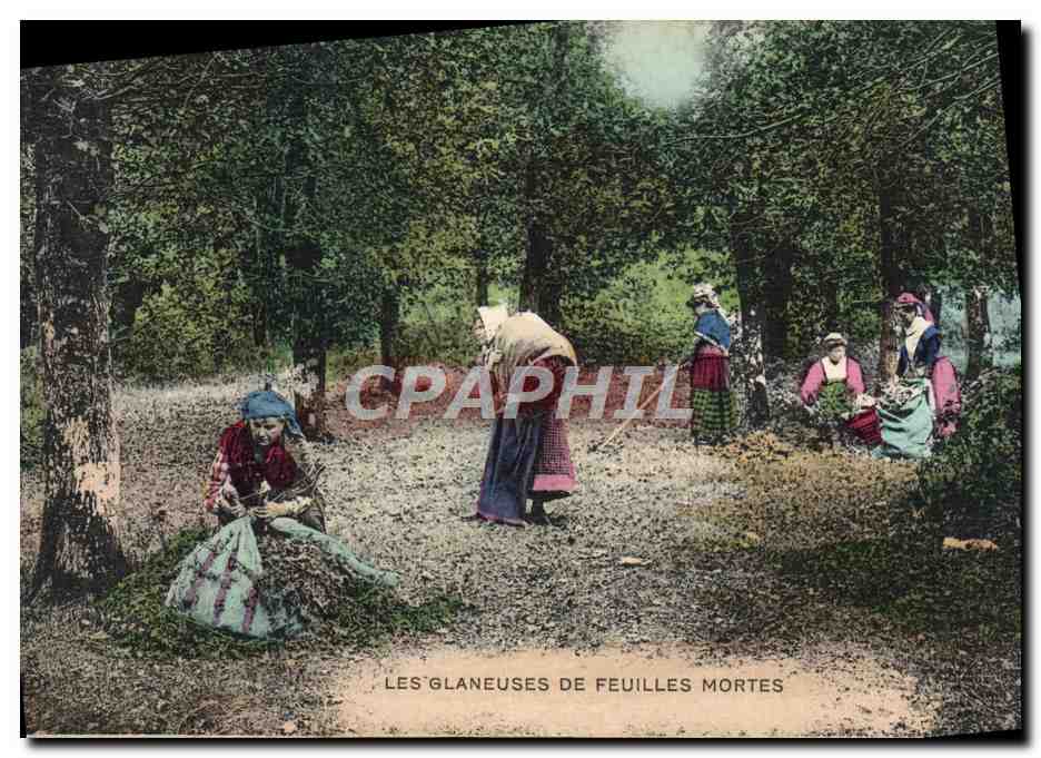 CPA Folklore Les glaneuses de feuilles mortes 