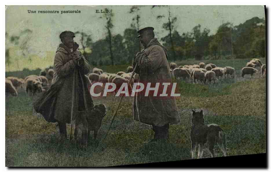 CPA Folklore Une rencontre pastorale Moutons Chien