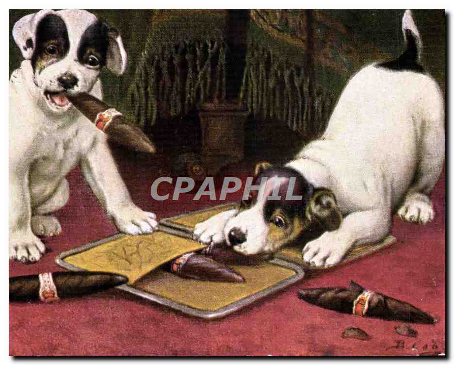 Deux chiots jouant avec des cigares — Tuck's Post Card n°9352