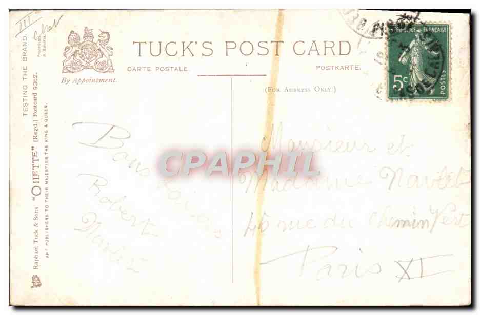 Deux chiots jouant avec des cigares — Tuck's Post Card n°9352 — Reverso