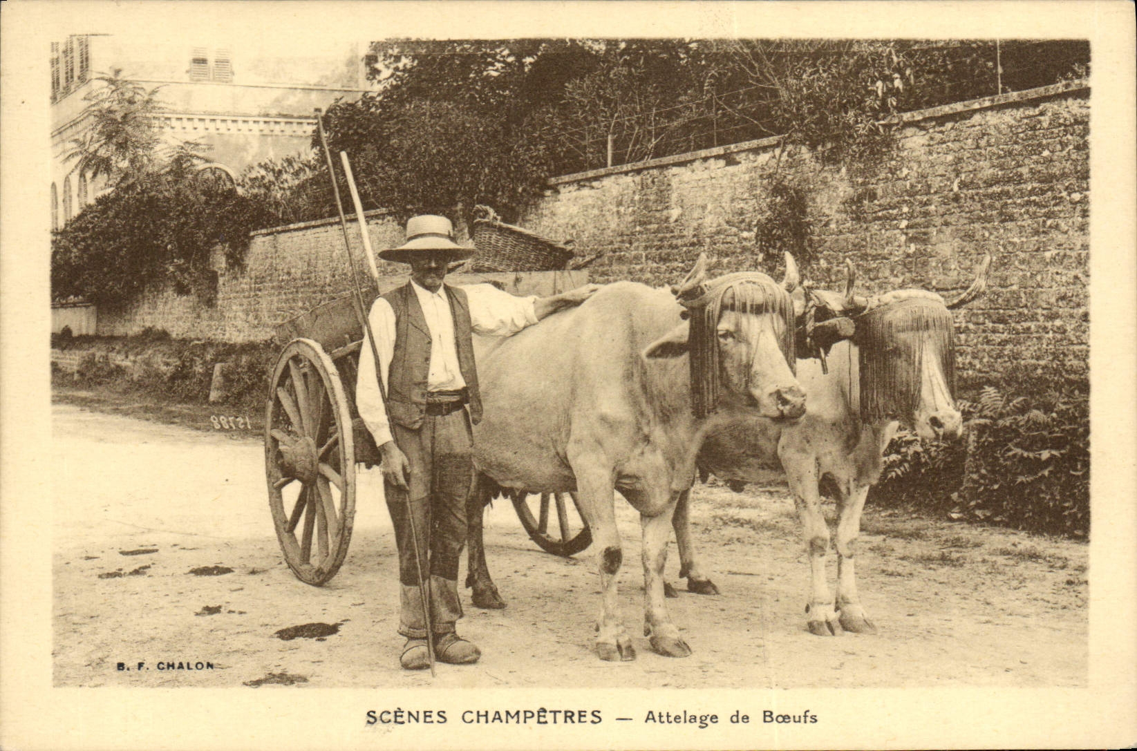 CPA Attelage de boeufs Scenes Champetres 