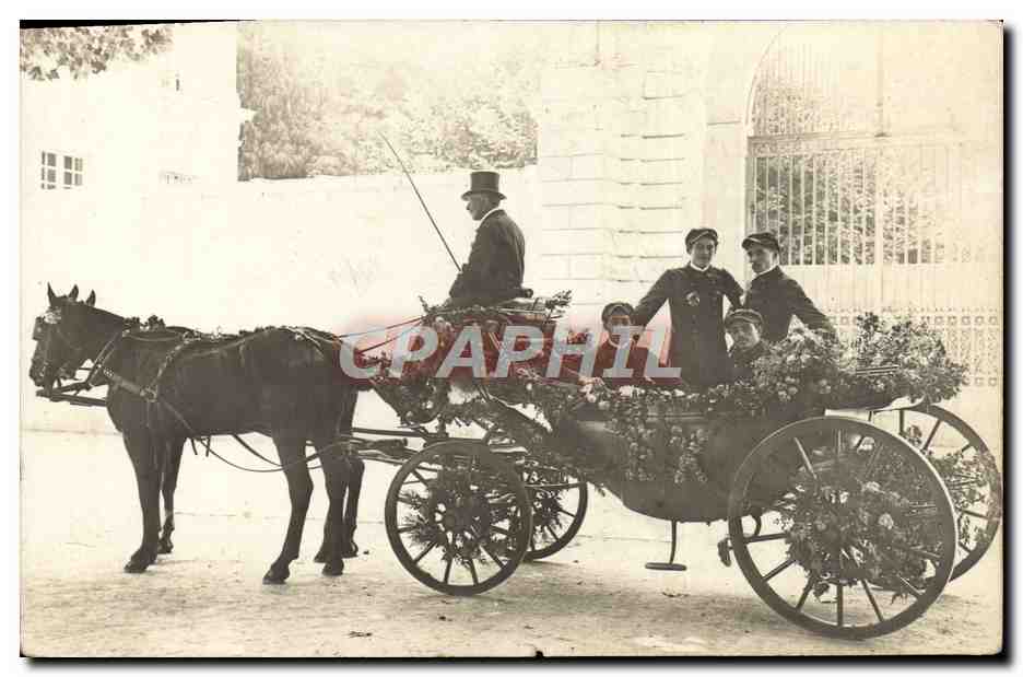 CARTE PHOTO Attelage Chevaux 