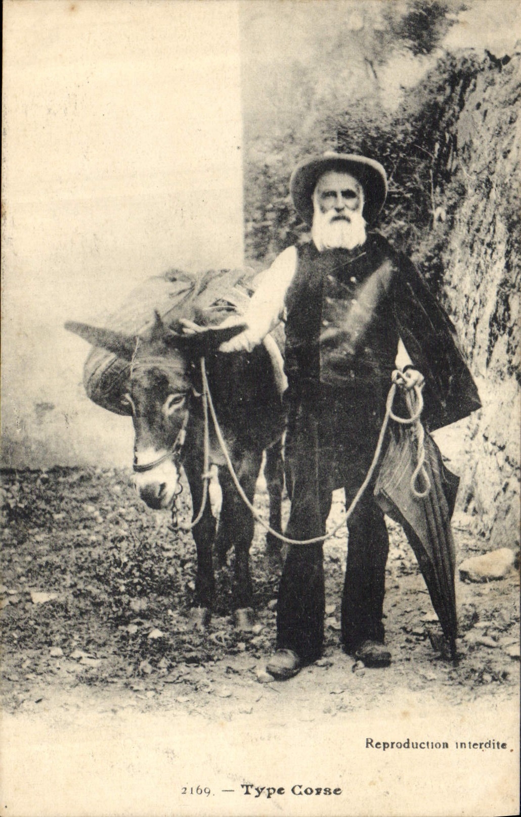 CPA Ane Mule Type Corse Corsica 