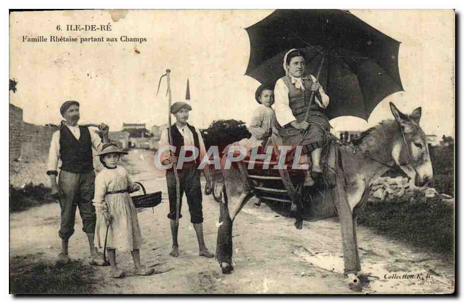 CPA Ane Mule Ile de Re Famille Rhetaise partant aux Champs 