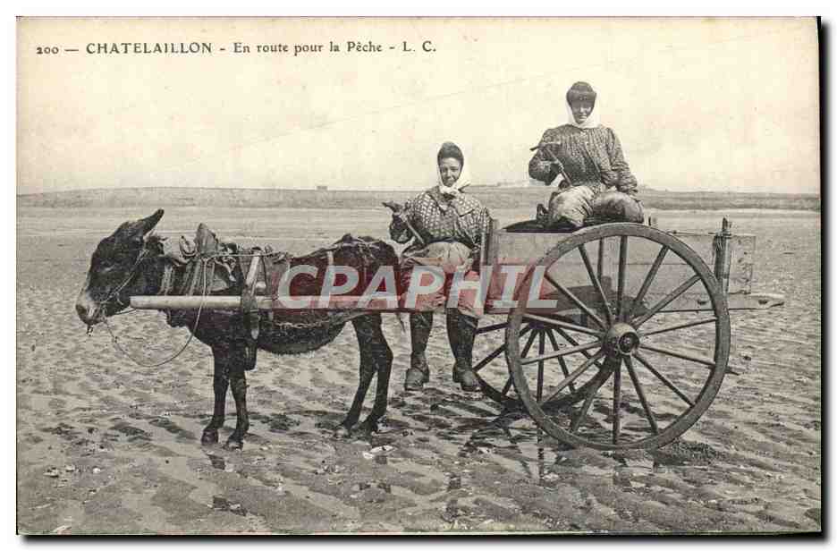 CPA Ane Mule Chatelaillon En route pour la peche 