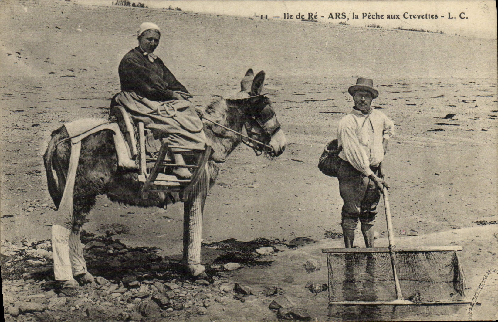 CPA Ane Mule Ile de Re Ars La peche aux crevettes
