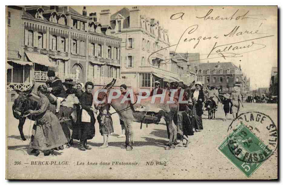 CPA Ane Mule Berck Plage Les anes dans l'entonnoir 