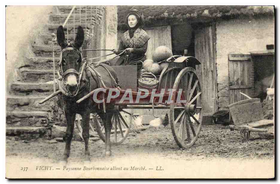 CPA Ane Mule Vichy Paysanne Bourbonnaise allant au marche 
