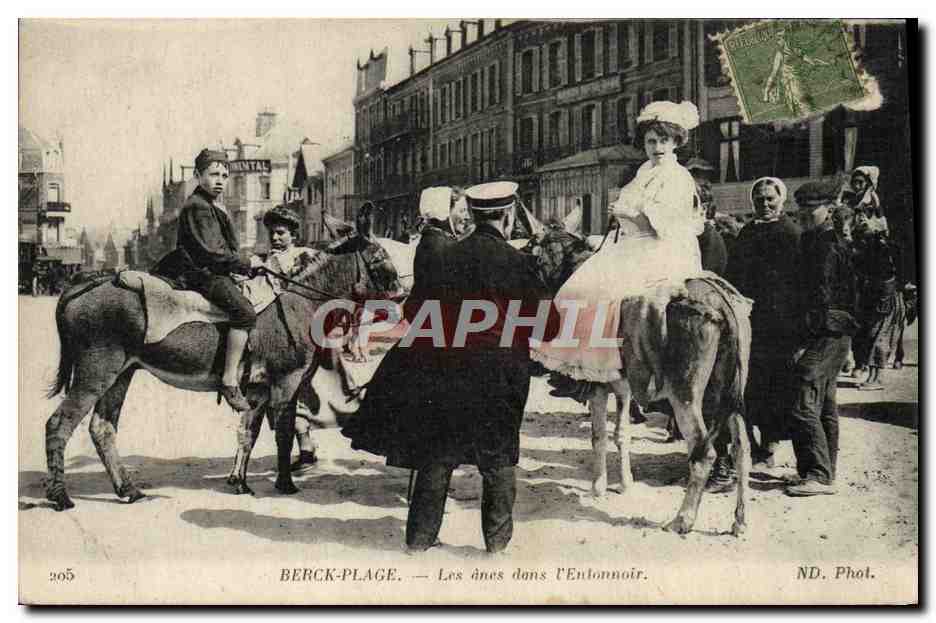CPA Ane Mule Berck Plage Les anes dans l'entonnoir 
