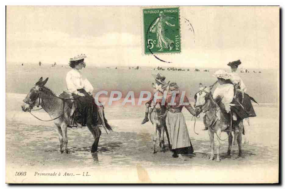 CPA Ane Mule Promenade a anes 