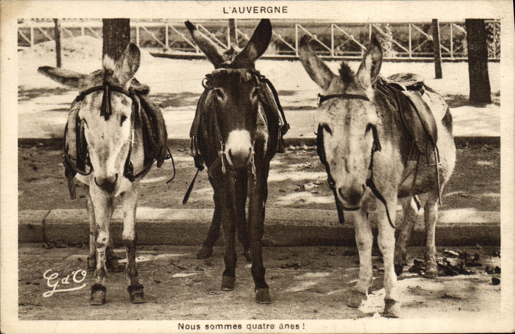 CPA Ane Mule Auvergne Quatre anes